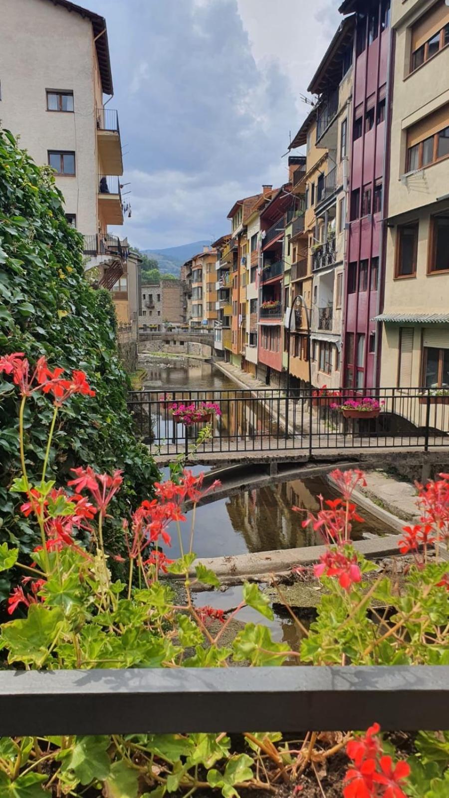 Niuet D'amor Apartment